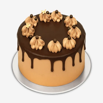 Chocolate Crunch Cake