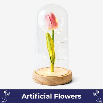 Eternal Tulip Glow