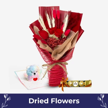 Red Hugs Valentine Set