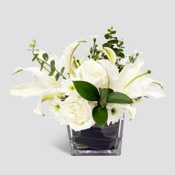 Snow Lily