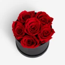 Six preserved red roses in a black cylinder box, a romantic gift.