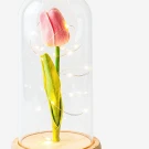 Pink tulip in a glass dome with fairy lights on a wooden base.