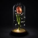 A pink tulip with fairy lights under a glass dome on a wooden base.
