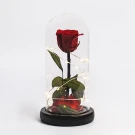 Enchanted red rose under glass dome with fairy lights, on black base.