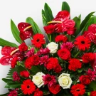 Vibrant bouquet of red anthuriums, roses, gerberas, mums, and carnations, with white roses, and palm leaves.
