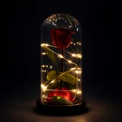 Red rose under a glass dome with fairy lights, against a dark background.