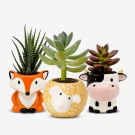 Three small succulent plants in cute animal-shaped pots: a fox, a sheep, and a cow.