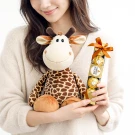 Person holding a giraffe stuffed animal and a gift box of Ferrero Rocher chocolates.