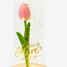Pink tulip with "Best Mom Ever" inscription under glass dome with fairy lights.