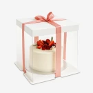 White cake with strawberries and raspberries in a clear box with a pink ribbon.