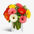 A glass vase holds a vibrant bouquet of gerbera daisies in pink, red, orange, yellow, and white.