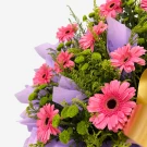 Pink gerberas, green spray chrysanthemums, and greenery in a bouquet with lavender paper and a gold ribbon.