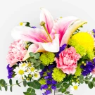 Pink stargazer lily with yellow, green, and pink flowers, and eucalyptus leaves.