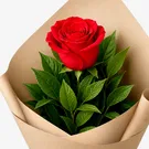 Single red rose with green leaves wrapped in brown and cream paper.