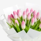 Bouquet of 20 pink tulips with white paper wrapping.
