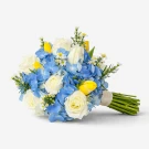 White roses, blue hydrangeas, yellow tulips, and small white flowers tied with a ribbon.