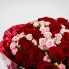 Lover Girl - Standard