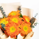 Vibrant orange gerbera daisies with yellow centers in a bouquet, tied with light-colored wrapping.