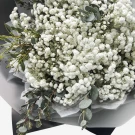 White baby's breath bouquet wrapped in paper, with hints of green foliage.