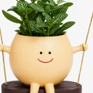 Cute planter with a smiling face, arms, and legs, holding a green fittonia plant while sitting on a swing.