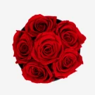 A black box filled with 6 preserved red roses.
