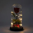 Enchanted red rose in glass dome with fairy lights, inspired by Beauty and the Beast.
