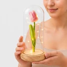 Pink tulip under glass dome with fairy lights on wooden base, held by a person.