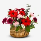 Basket arrangement of red gerberas, pink carnations, and violet chrysanthemums.