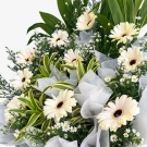 White gerbera daisies and greenery in a bouquet with white paper wrapping.