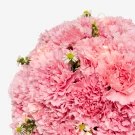 Pink carnation topiary with small white flowers and fairy lights.