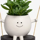 Cute planter with a smiling face, arms, and legs, holding a green fittonia plant while sitting on a swing.