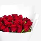 Close-up of a bouquet of deep red roses, partially wrapped in white paper.