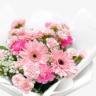 Pink gerberas and carnations in a bouquet with white paper wrap.