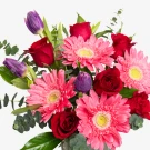 A vibrant bouquet of pink gerberas, red roses, and purple tulips with green eucalyptus leaves.