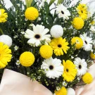 Yellow and white gerbera daisies and yellow ping pong chrysanthemums.