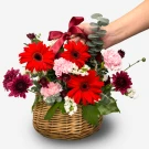Basket of red gerberas, pink carnations, and violet chrysanthemums with greenery.