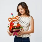 Foxy Delights Basket Standard