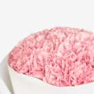 Close-up of a bouquet of pink carnations in a white vase, showing their ruffled petals.