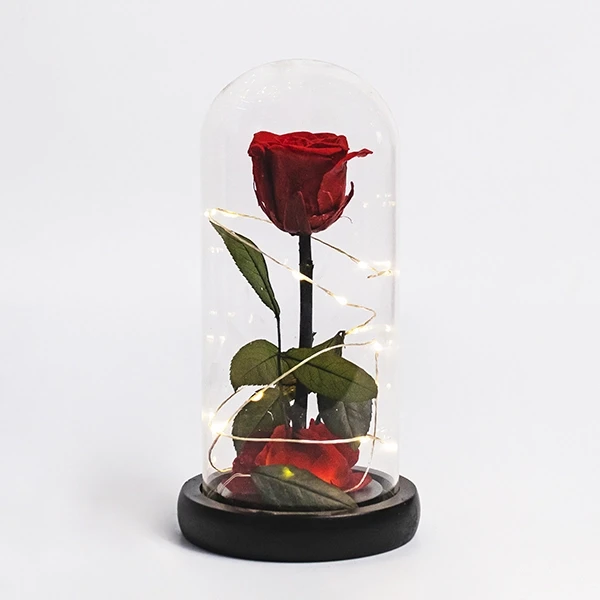Red rose in a glass dome with fairy lights on a black base.