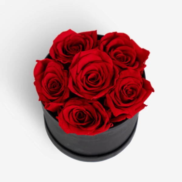 Six preserved red roses in a black bloom box, a symbol of passion and everlasting love.