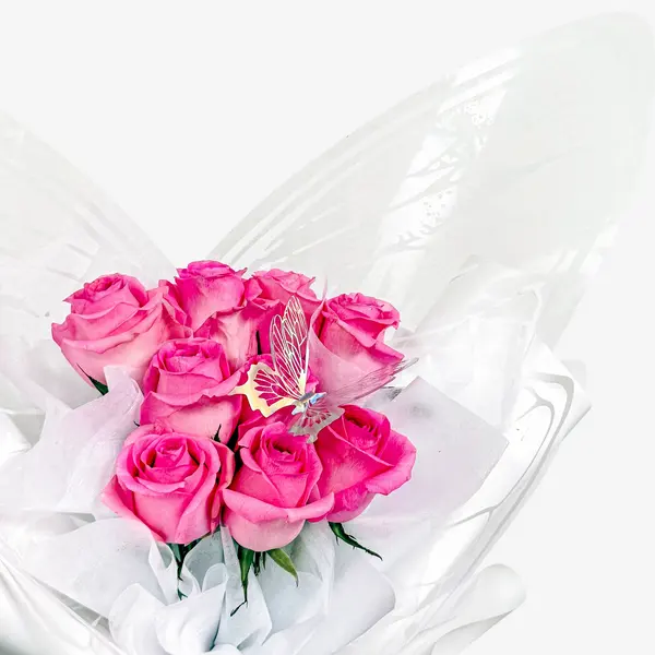 Butterfly Blush 2