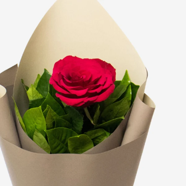 Single red rose with green leaves wrapped in brown and cream paper.