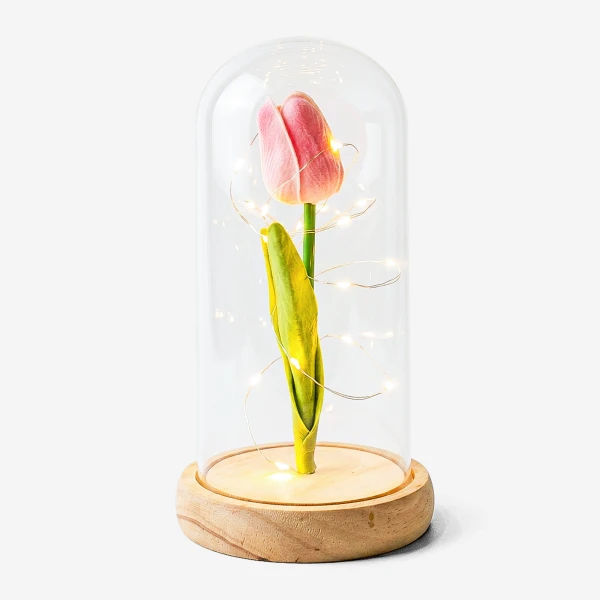 A pink tulip under a glass dome with LED lights on a wooden base.