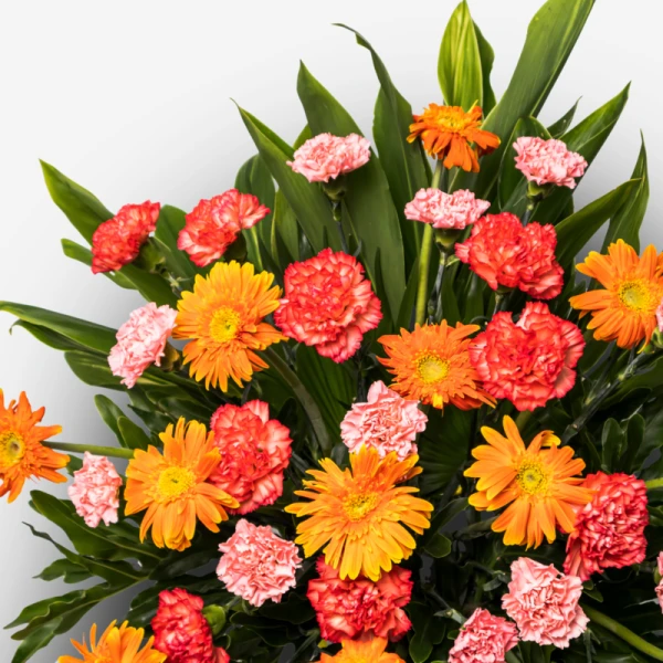 An arrangement of vibrant orange gerberas and pink and red carnations with green foliage.