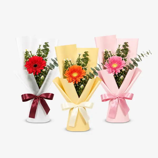 Bloom Trio 1