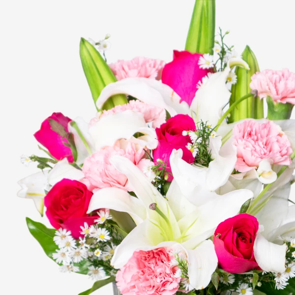 A bouquet of pink roses, white lilies, and pink carnations on a white background.