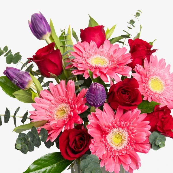 A vibrant bouquet of pink gerberas, red roses, and purple tulips with green eucalyptus leaves.