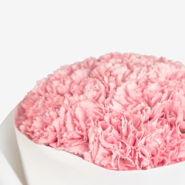 A close-up of a bouquet of fluffy pink carnations.