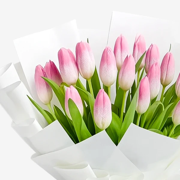 Bouquet of 20 pink tulips with white paper wrapping.