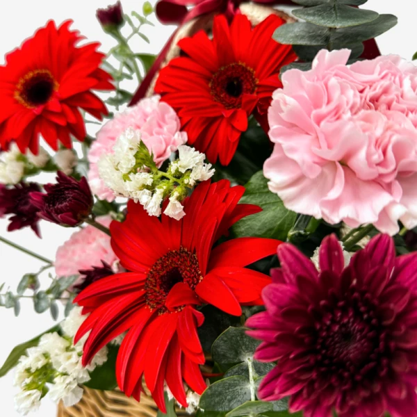 A vibrant bouquet of red gerberas, pink carnations, purple chrysanthemums, and white statice.